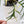 Philodendron 'Tortum' Variegated (wk35-N)