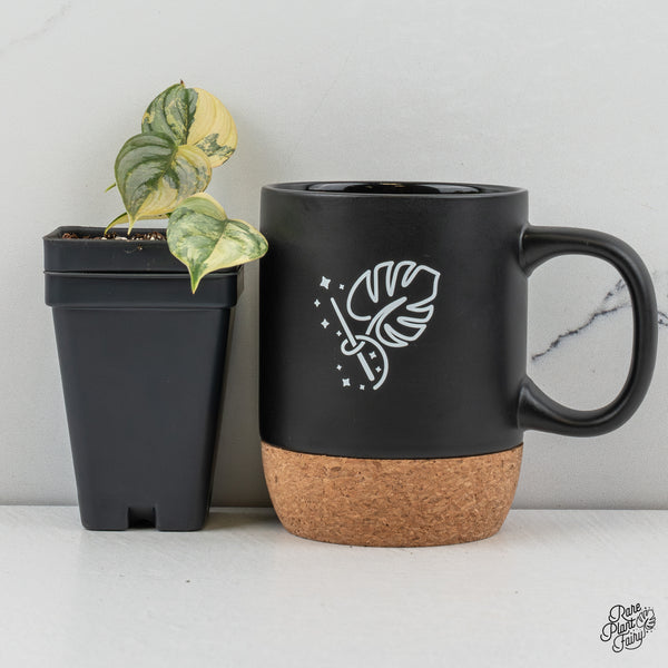 Philodendron Brandtianum Variegated (wk47-K)