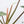 Philodendron Domesticum Marble Variegated (wk37-C)