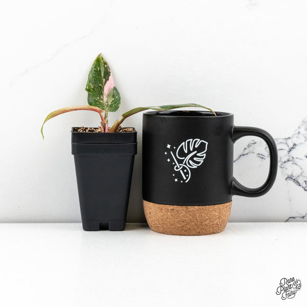 Philodendron 'Scarlet Princess' ('Red Anderson' Mutation) (wk46-I)