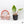 Philodendron Erubescens 'White Princess Aurea' (wk37-H)