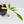 Philodendron Florida Beauty x Polypodioides Variegated (wk36-L107)