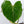 Philodendron Gloriosum Sport Variegated (wk35-U)