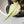 Philodendron Gloriosum Variegated *Type 2* (wk33-D)