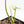 Philodendron Mamei Albo Variegated (wk21-H)