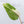 Philodendron Mamei Albo Variegated (wk35-M)