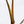 Philodendron Mamei Albo Variegated (wk36-K)