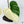 Philodendron Mamei Albo Variegated (wk36-L)