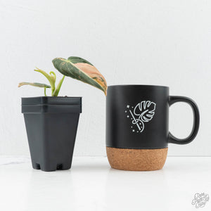 Philodendron melanochrysum orange variegated (wk29-UF)