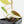 Philodendron Micans Albo/Pink Variegated (wk31-R)