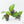 Philodendron verrucosum x serpens *Grower's Choice*