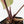 Anthurium Purple Rain '27' x Red Velvet Cake '24' by DocBlock® (wk35-L87)