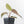 Anthurium Red Velvet Cake '24' x Dark & Handsome '9' by DocBlock®  (wk32-M)