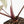 Anthurium Red Velvet Cake '24' x Red Velvet Cake '24' by DocBlock® (wk23-G)