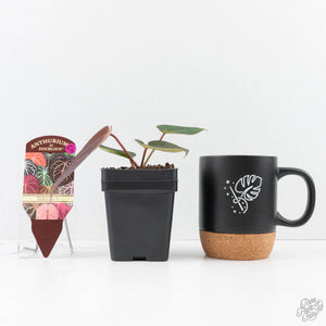 Anthurium Red Velvet Cake '24' x Red Velvet Cake '24' by DocBlock® (wk29-J)