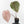 Anthurium Red Velvet Cake '24' x Zara '29' by DocBlock® (wk30-I)