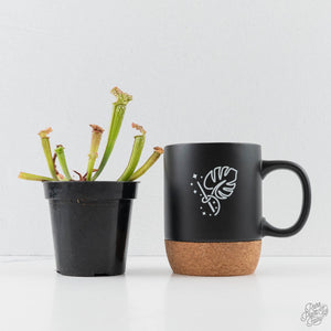Sarracenia x farnhamii (North American Pitcher Plant)