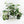 Syngonium podophyllum albo variegated *Grower's Choice*