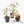 Syngonium 'Rolli' *Grower's Choice*