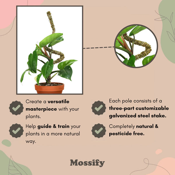 Mossify® Bendable Moss Pole™ THIN - 3 Pack