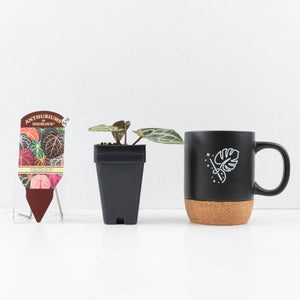 Anthurium Tortoise Shell Grey '36' x self by DocBlock® (wk31-UL)