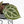 Anthurium Tortoise Shell Grey '36' x self by DocBlock® (wk31-UL)