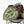 Anthurium Tortoise Shell Grey '36' x self by DocBlock® (wk31-UL)
