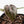 Anthurium Tortoise Shell Grey '36' x self by DocBlock® (wk31-UL)