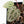 Anthurium Tortoise Shell Grey '36' x self by DocBlock® (wk26-L) *Maroon Veins*