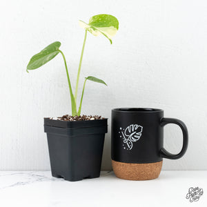 Monstera Deliciosa 'Thai Constellation' *Grower's Choice*