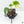 Monstera Deliciosa 'Thai Constellation' *Grower's Choice*
