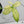 Thaumatophyllum Spruceanum Mint Variegated (previously Philodendron Goeldii) (wk35-B) *Multiple Growth Points*
