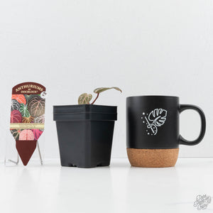 Anthurium Tortoise Shell Grey '36' x self by DocBlock® (wk24-H)