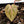 Anthurium Tortoise Shell Grey '36' x self by DocBlock® (wk24-H)