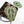 Anthurium Tortoise Shell Grey '36' x self by DocBlock® (wk29-K)