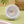 Vita™ Grow Light