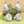 Greenfit™ Kit (Vita 4-Pack)