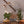 Vita™ Grow Light