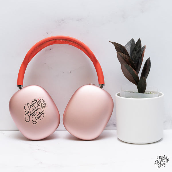 Zamioculcas Zamiifolia "Raven ZZ" Pink Variegated (wk36-N)