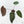 Anthurium Zara '29' x Dark and Handsome '9' by DocBlock® (wk19-Z)