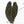 Anthurium  Zara '29' x  Dark and Handsome '9' by DocBlock® (wk31-F)