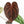 Anthurium Zara '29' x Zara '3' by DocBlock® (wk18-P)