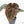 Anthurium Zara '29' × (Michelle® x Zara '28') byDocBlock® (wk28-I)