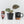 Anthurium Zara '31' x Tortoise Shell Grey '36' by DocBlock® (wk34-L51)