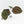 Anthurium Zara '31' x Tortoise Shell Grey '36' by DocBlock® (wk34-L51)