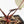 Anthurium Zara '31' x Tortoise Shell Grey '36' by DocBlock® (wk34-L51)