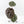 Anthurium Zara '31' x Zara '14' by DocBlock® (wk27-L)