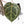 Anthurium Zara '31' x Zara '14' by DocBlock® (wk27-L)
