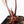 Anthurium Zara '31' x Zara '14' by DocBlock® (wk33-L34)