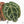 Anthurium Zara '33' x Zara '29' by DocBlock® (wk19-K)
